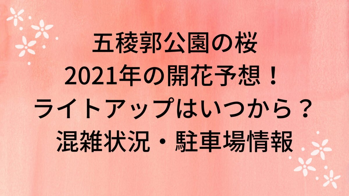 五稜郭公園の桜21開花予想 ライトアップはいつから 混雑状況 駐車場情報や見ごろも紹介