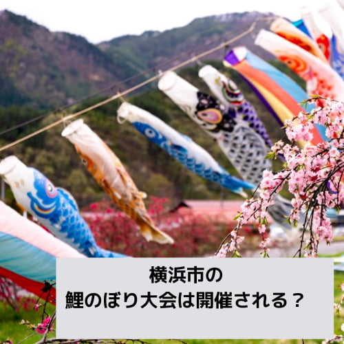 横浜市の鯉のぼり大会は開催される？過去の開催日程について調査！