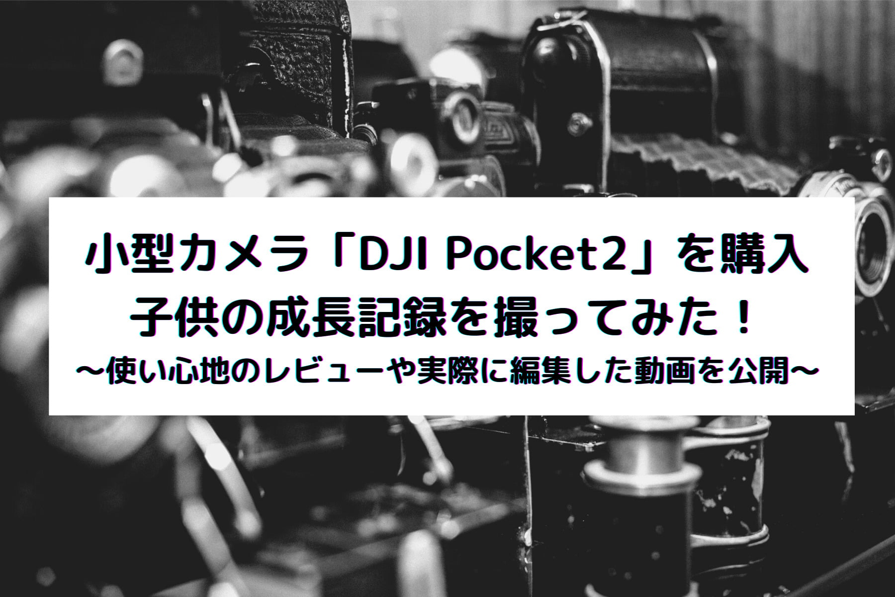小型カメラ「DJI Pocket2」を購入