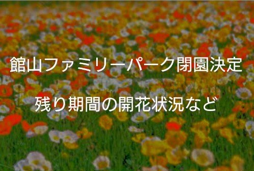 館山ファミリーパーク閉園の理由と時期・5月末閉園最後のイベントを紹介します！