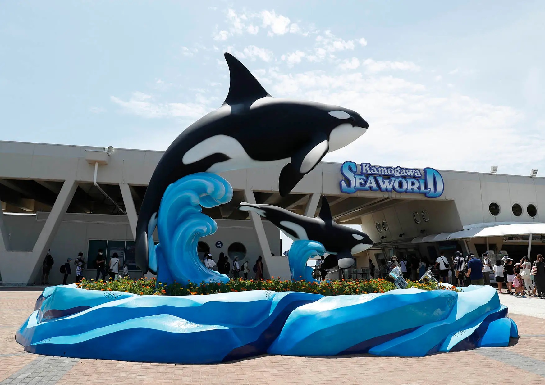 【水族館】『鴨川シーワールド 』の魅力は？基本情報も紹介